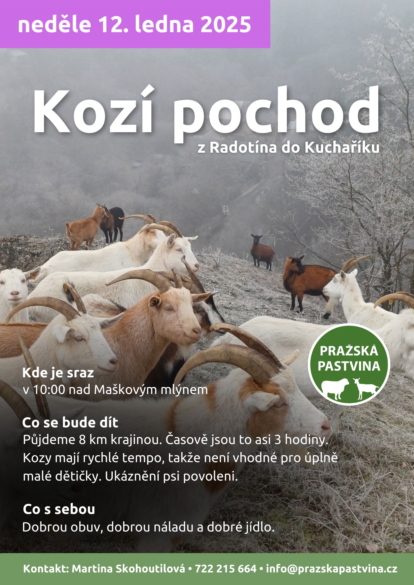 kozipochod.jpg